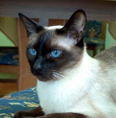 Foto: Wiesinger