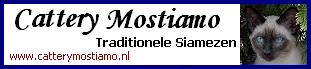 Cattery Mostiamo